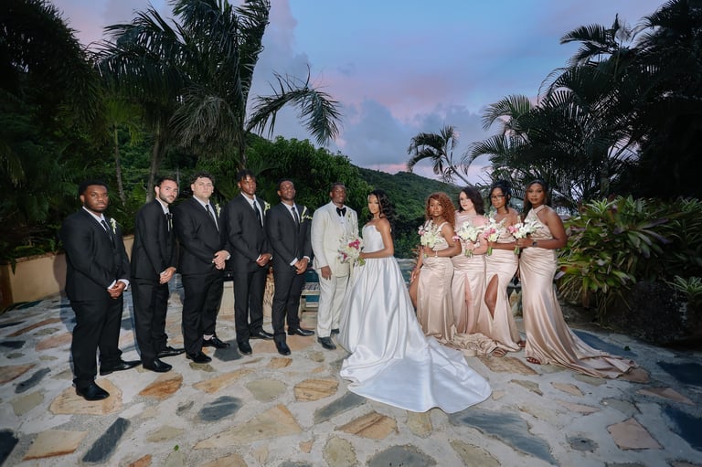 Wedding party lined up on a tropical patio at dusk with bride in white gown, groom and groomsmen in tuxedos, bridesmaids in blush dresses, and palm trees in the background